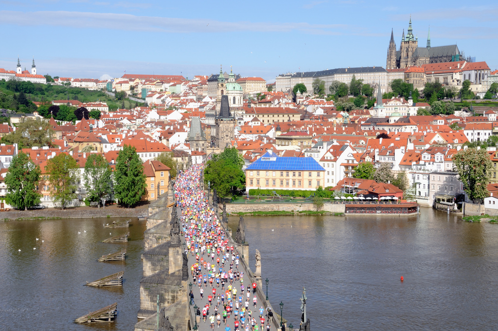 8732662424_2d768f0c1e_b