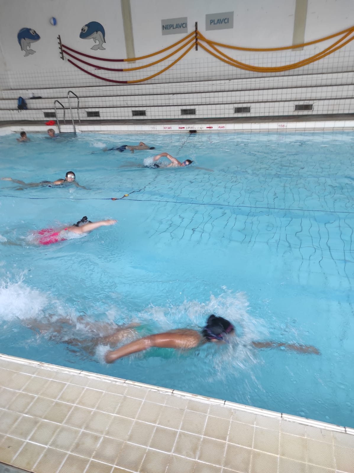 A03C194C-E4EF-4826-B97B-C3E2B048E254